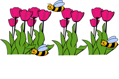 bees-on-tulips-hi